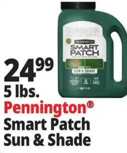 Ocean State Job Lot Pennington Smart Patch Grass Seed Fertilizer Mulch 5 lbs offer