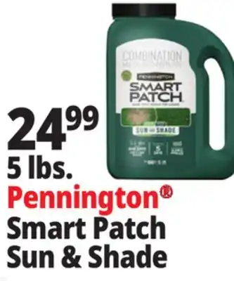 Ocean State Job Lot Pennington Smart Patch Grass Seed Fertilizer Mulch 5 lbs offer