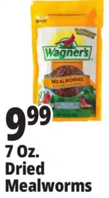 Ocean State Job Lot 7 Oz. Dried Mealworms offer