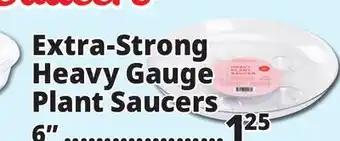 Ocean State Job Lot 6 Extra-Strong Heavy Gauge Plant Saucers offer