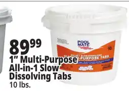 Ocean State Job Lot 1 Multi-Purpose All-in-1 Slow Dissolving Tabs offer