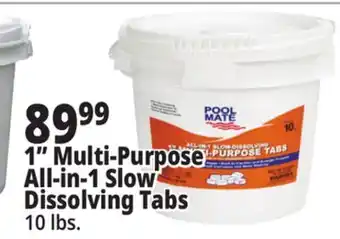 Ocean State Job Lot 1 Multi-Purpose All-in-1 Slow Dissolving Tabs offer