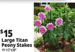 Ocean State Job Lot Tiller & Rowe Large Titan Peony 3-Ring Plant Support 38 offer
