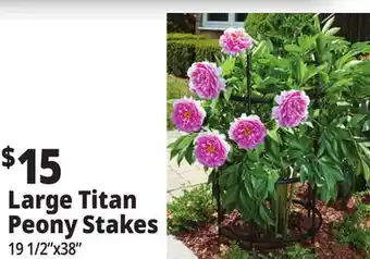 Ocean State Job Lot Tiller & Rowe Large Titan Peony 3-Ring Plant Support 38 offer