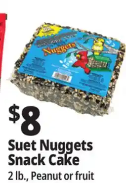 Ocean State Job Lot C&S Songbird Snak with Peanut Suet Nuggets 32 oz offer