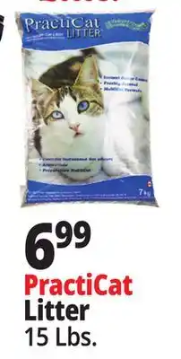 Ocean State Job Lot Premium Scoopable Cat Litter 15 lbs offer
