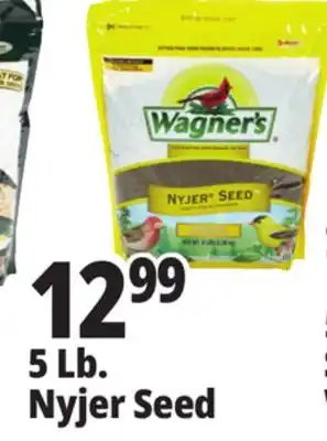 Ocean State Job Lot Wagner's Premium Nyjer Seed 5 lbs offer
