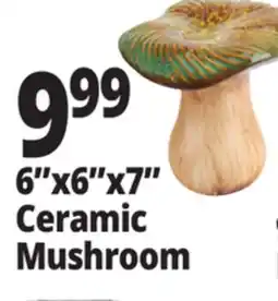 Ocean State Job Lot 6x6x7 Ceramic Mushroom offer