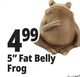 Ocean State Job Lot Fat Belly Frog Garden Statue 5 offer