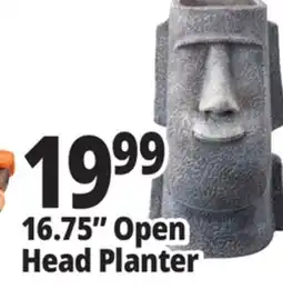 Ocean State Job Lot 16.75 Open Head Planter offer