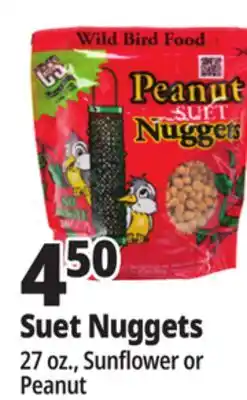 Ocean State Job Lot C&S Sunflower Suet Nuggets 27 oz offer