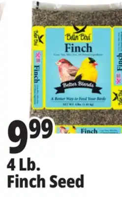 Ocean State Job Lot Better Bird Finch Bird Food 4 lbs offer