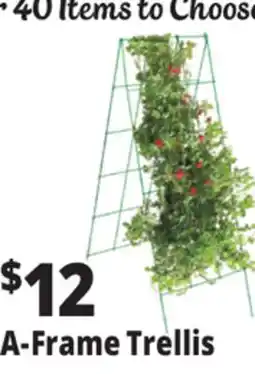 Ocean State Job Lot A-Frame Trellis Green 46 x 18 offer