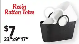 Ocean State Job Lot Resin Rattan Totes offer