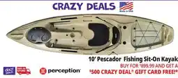 Ocean State Job Lot Perception Pescador 10.0 Fishing Kayak Tan offer