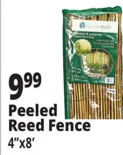Ocean State Job Lot Gardenpath Peeled and Polished Reed Fencing 8' offer