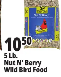 Ocean State Job Lot Better Bird Premium Nut N' Berry Bird Food 5 lbs offer