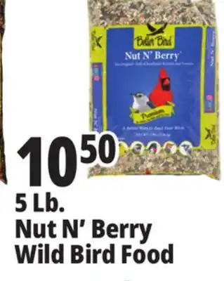 Ocean State Job Lot Better Bird Premium Nut N' Berry Bird Food 5 lbs offer