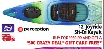 Ocean State Job Lot Perception Joyride 12.0 Recreational Kayak Deja Vu offer