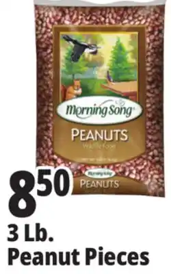 Ocean State Job Lot Morning Song Wildlife Food Peanuts 3 lbs offer