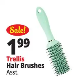 Ocean State Job Lot Trellis Boutique Vented Hair Brush offer
