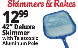 Ocean State Job Lot SwimWorks Leaf Skimmer with Telescopic Pole offer