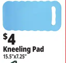 Ocean State Job Lot Tiller & Rowe EVA Foam Kneeling Pad 15.5 offer