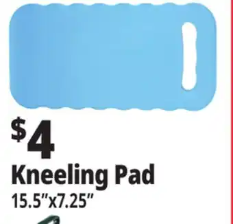 Ocean State Job Lot Tiller & Rowe EVA Foam Kneeling Pad 15.5 offer