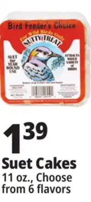 Ocean State Job Lot Bird Feeder's Choice Berry Treat Suet 11 oz offer