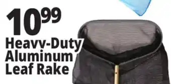Ocean State Job Lot SwimWorks Heavy-Duty Deep Bag Leaf Rake offer