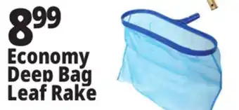 Ocean State Job Lot SwimWorks Economy Deep Bag Leaf Rake offer