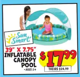Ollie's 39 X 7.75 INFLATABLE CANOPY POOL offer