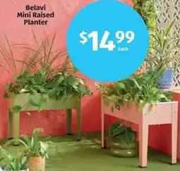Aldi Belavi Mini Raised Planter offer