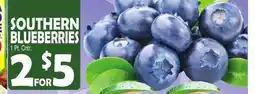 Bravo Supermarkets SOUTHERN BLUEBERRIES offer