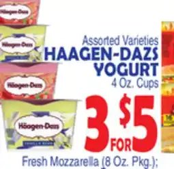 Bravo Supermarkets HAAGEN-DAZS YOGURT offer