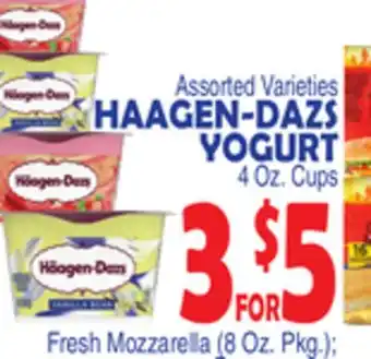 Bravo Supermarkets HAAGEN-DAZS YOGURT offer