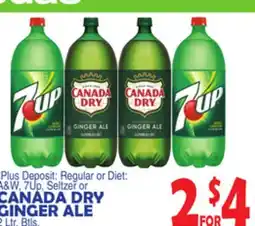 Bravo Supermarkets CANADA DRY GINGER ALE offer