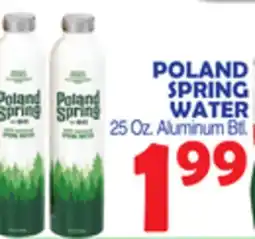 Bravo Supermarkets POLAND SPRING WATER offer