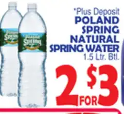 Bravo Supermarkets POLAND SPRING NATURAL SPRING WATER offer