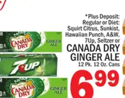 C Town CANADA DRY GINGER ALE offer