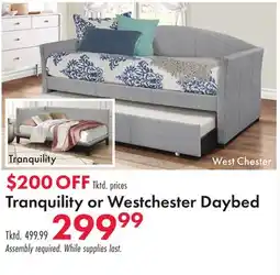 Boscov's Tranquility or Westchester Daybed offer