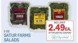 Kings Food Markets SATUR FARMS SALADS offer