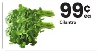 ACME Cilantro offer