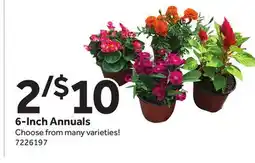 Stop&Shop 6-Inch Annuals offer