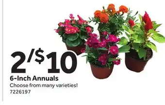Stop&Shop 6-Inch Annuals offer