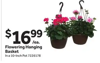 Stop&Shop Flowering Hanging Basket offer