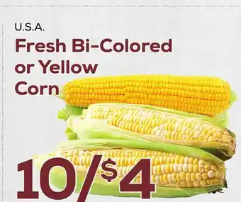 DeCicco & Sons Fresh Bi-Colored or Yellow Corn offer