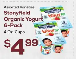 DeCicco & Sons Stonyfield Organic Yogurt 6-Pack offer