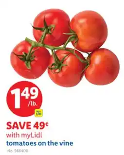 Lidl tomatoes on the vine offer