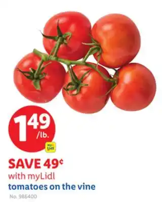 Lidl tomatoes on the vine offer